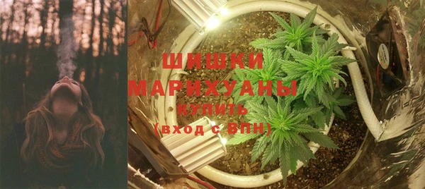 индика Горняк