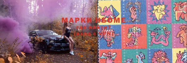 сатива Вязьма